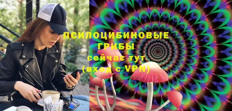 Псилоцибиновые грибы MAGIC MUSHROOMS  Ставрополь 